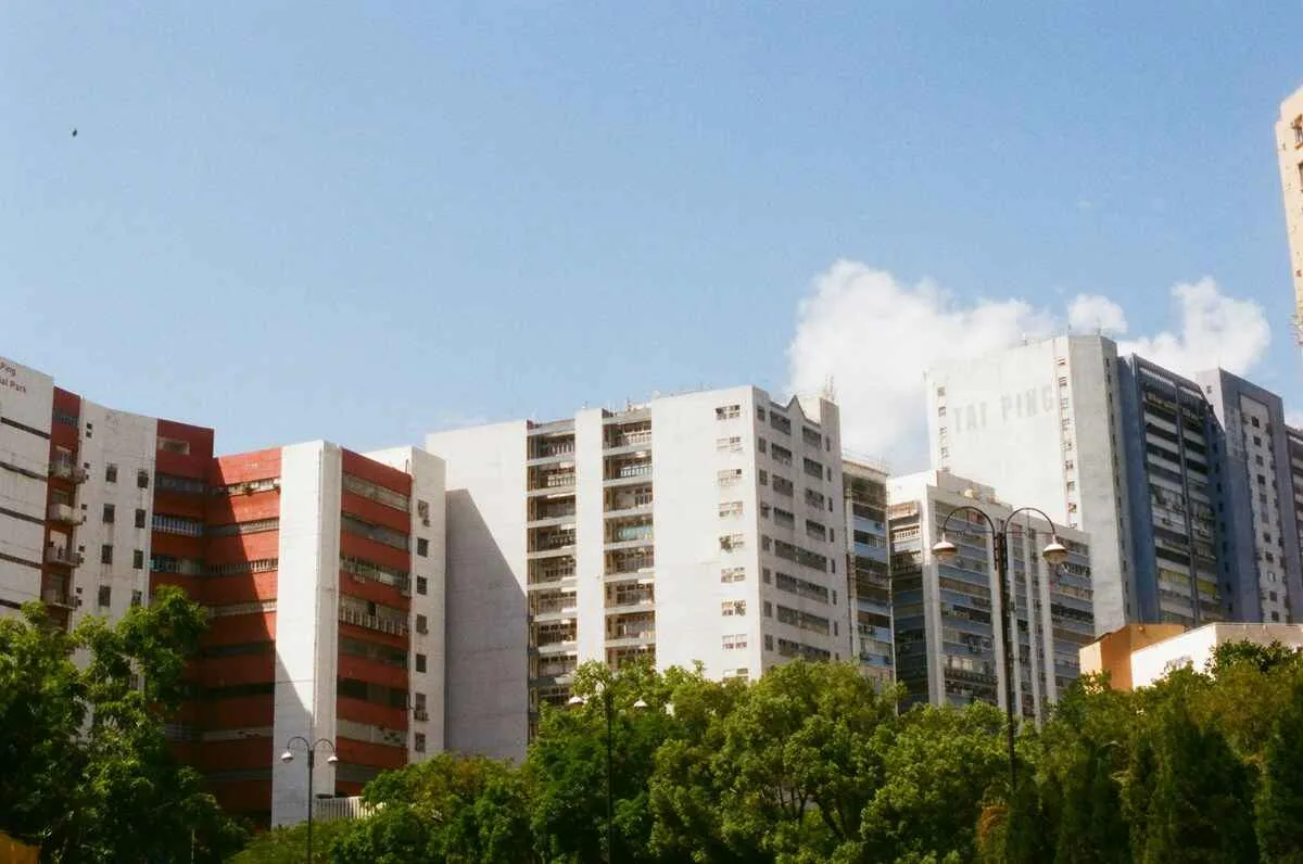 Background Diagnostiqueur (immobilier, traitement)