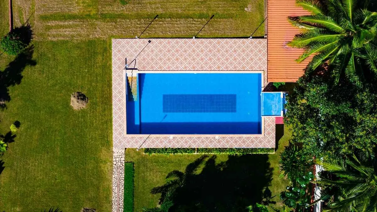 Background Pisciniste