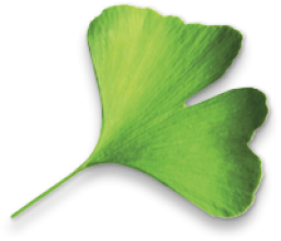 Logo de l'artisan Rigate-Design