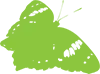 Bureau D'études Eco-paysagiste Jardin-rêve