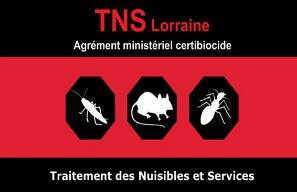 TNS