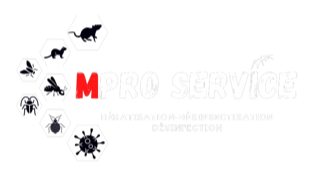EURL M Pro Service