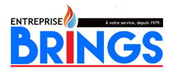 Logo de l'artisan Entreprise Brings SASU