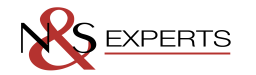 Logo de l'artisan N&S Experts
