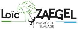 Logo de l'artisan Loïc Zaegel