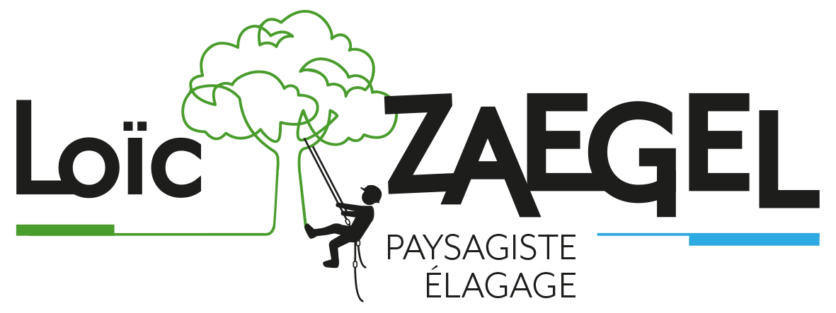Loïc Zaegel