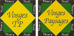 Logo de l'artisan Vosges Paysages
