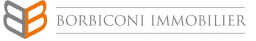 Logo de l'artisan Cyril Borbiconi