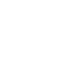 Logo de l'artisan MAISON GIORGETTI