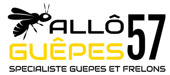 Allô Guêpes 57