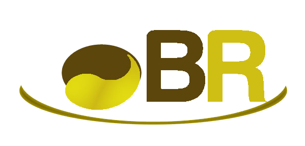 Br Menuiserie