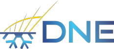 DNE