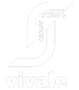Logo de l'artisan Vivale