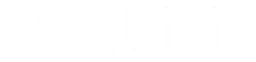 Logo de l'artisan Stallini