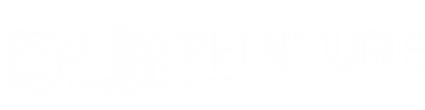 DLB Peinture