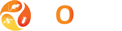 Nocéo