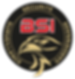 BSI Sécurité