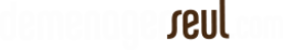 Logo de l'artisan Déménager Seul Strasbourg