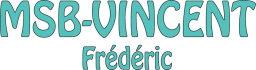 Logo de l'artisan Msb Vincent Frédéric